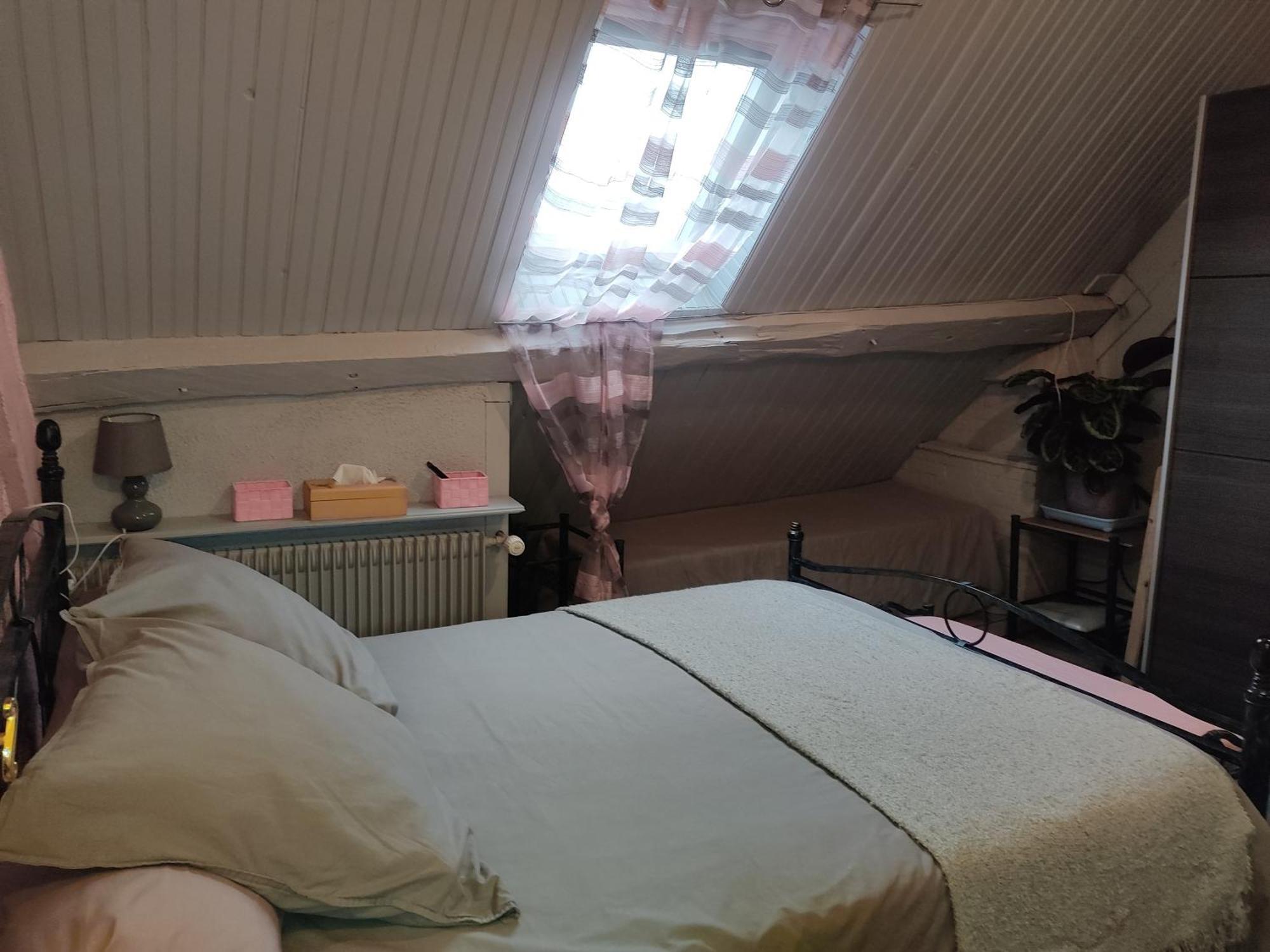 Bed and Breakfast Le Lion Dort Cormeilles-en-Parisis Zewnętrze zdjęcie